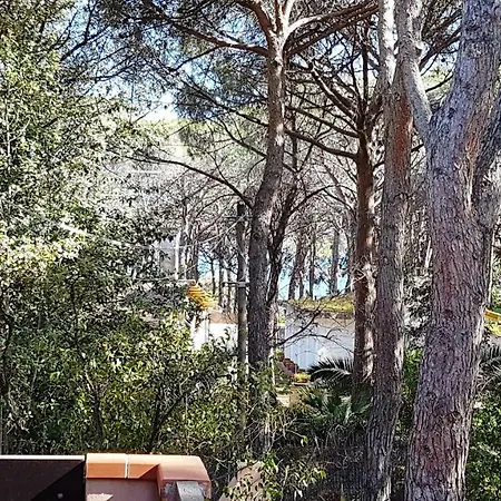 Дом отдыха Mare A Santa Margherita
